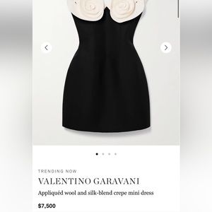 Brand new Never worn Valentino dress